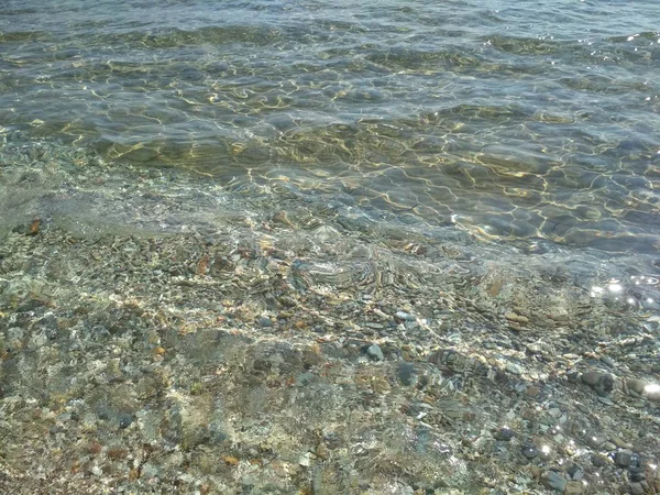 Det Renaste Egeiska Havet Med Sina Invånare — Stockfoto