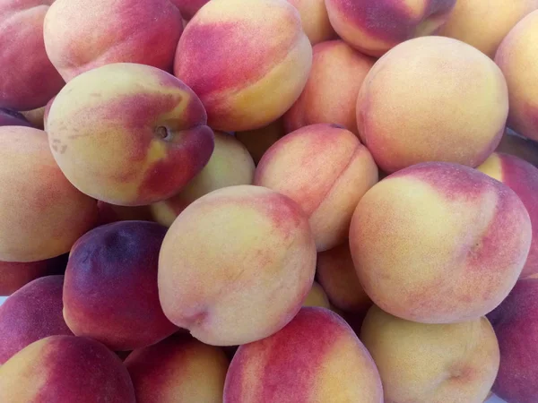 Summer Harvest Ripe Peaches Garden — Stock Photo, Image