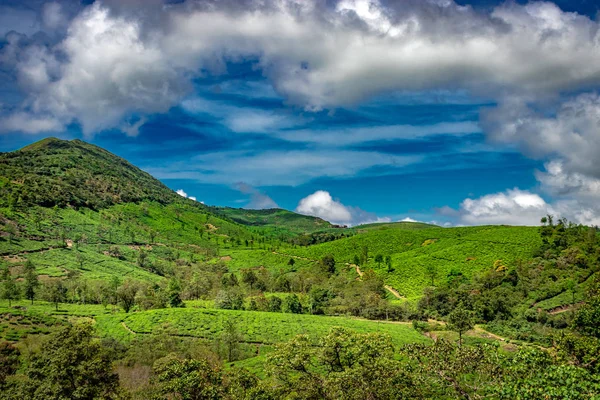 Jardins de chá verde colinas com céu azul — Fotografia de Stock