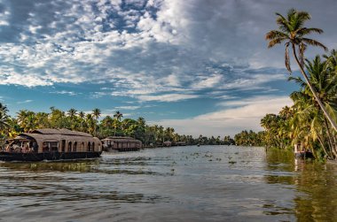 Yüzen evler ve palmiye ağacı ile su manzarası
