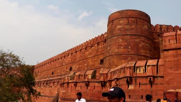 Agra Fort Amazing Konst Arbete Tas Agra Uttar Pradesh Indien — Stockvideo