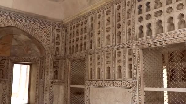Agra Fort Amazing Art Work Taken Agra Uttar Pradesh India — Stock Video