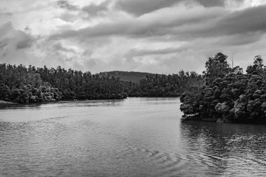 Güney Hindistan 'da sabah, orman suyu yansımasıyla el değmemiş bir göl siyah beyaz görüntüyle çekilir. Güney Hindistan 'ın güzel manzarasını gösteriyor..