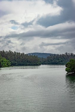Güney Hindistan 'da sabah görüntüsünde orman suyunun yansımasıyla el değmemiş göl çekilir. Güney Hindistan 'ın güzel manzarasını gösteriyor..