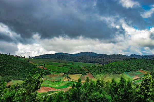 Montañas Cubiertas Jardines Bosques Verdes Imagen Toma Sur India Está — Foto de Stock