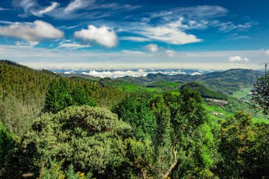 Dağlık ve bulut katmanlı kalın bir orman Güney Hindistan 'da çekiliyor. Güney Hindistan 'ın güzel manzarasını gösteriyor..