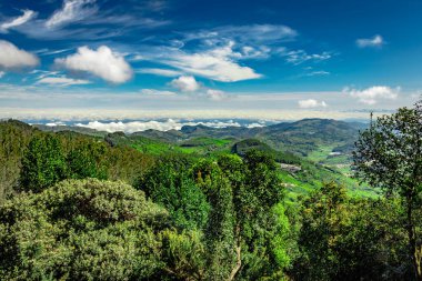 Dağlık ve bulut katmanlı kalın bir orman Güney Hindistan 'da çekiliyor. Güney Hindistan 'ın güzel manzarasını gösteriyor..