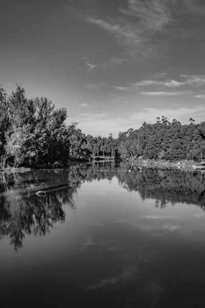 Ooty Gölü Tamilnadu Hindistan 'da sabah vakti yeşil orman suyu yansıması ve açık mavi gökyüzü ile el değmemiş siyah beyaz bir gölün görüntüsü çekilir. Güney Hindistan 'ın güzel manzarasını gösteriyor..