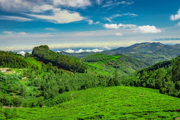 Cordillera Con Jardín Cielo Azul Increíble Imagen Ángulo Plano Toma — Foto de Stock