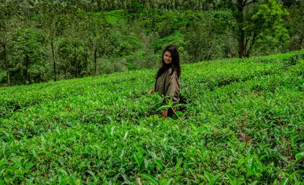 Дівчина Позує Зеленому Чайному Саду Яскравим Фоновим Зображенням Неба Взята — стокове фото
