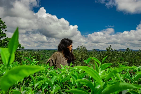 Gadis Berpose Kebun Teh Hijau Dengan Gambar Latar Belakang Langit — Stok Foto