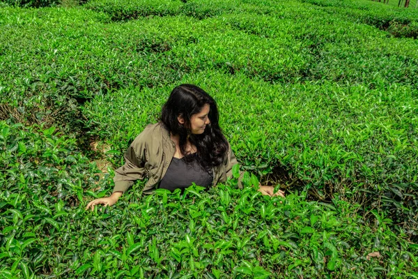 Mädchen Posiert Bei Grünem Tee Garten Mit Hellem Himmel Hintergrundbild — Stockfoto