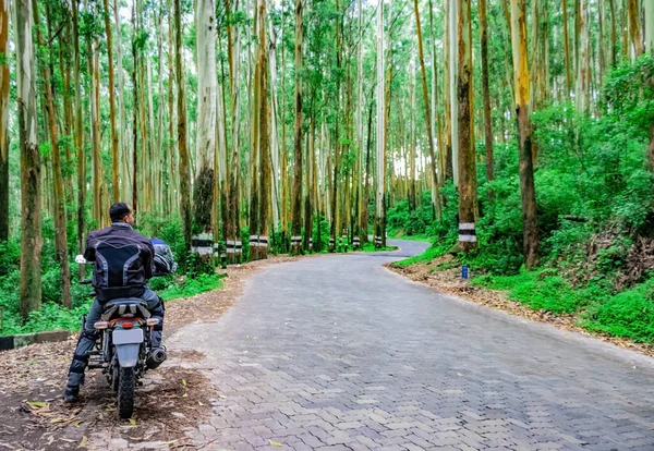 Motorrad Fahrer Isoliert Auf Leeren Asphaltierten Straße Mit Sattgrünem Wald — Stockfoto