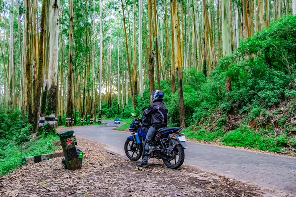 Motocyklista Odizolowany Pustej Asfaltowej Drodze Bujnym Zielonym Obrazem Lasu Pokazuje — Zdjęcie stockowe