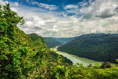 Batı ghat inanılmaz yoğun yeşillik ile önde gelen nehir görüntüsü Karnataka Hindistan 'da çekilmiştir. Tamamen batı ghat ormanlarıyla kaplı..