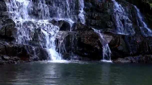 Ruisseaux Cascade Tombant Montagnes Rocheuses Noires Clip Montre Beauté Nature — Video