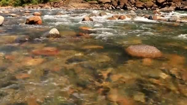 Rio Montanha Que Flui Córrego Dia Clipe Ângulo Plano Tomado — Vídeo de Stock