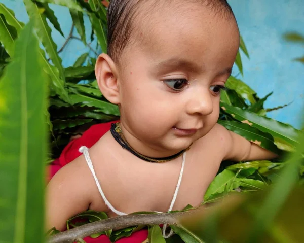 Bebé Jugando Con Hojas Mostrando Expresión Facial Lindo Primer Plano —  Fotos de Stock