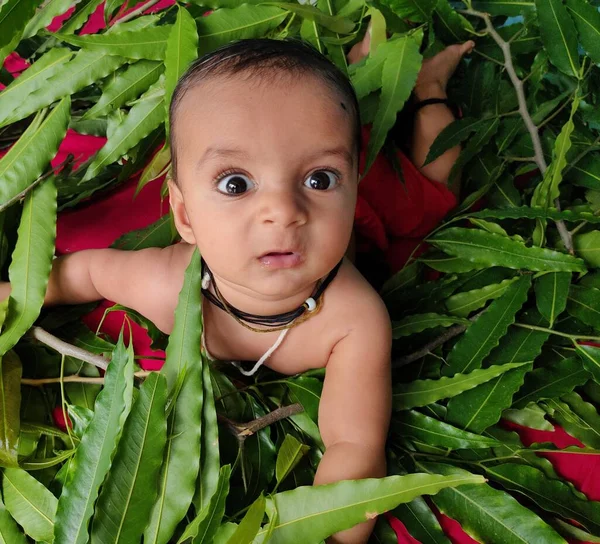 Criança Brincando Com Folhas Mostrando Sua Expressão Facial Bonito Close — Fotografia de Stock