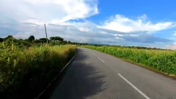Jalan Aspal Ditutupi Dengan Hutan Hijau Lebat Terisolasi Gambar Menunjukkan — Stok Video