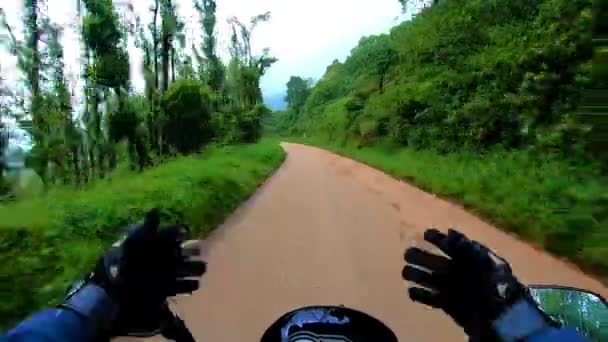 高密度の緑の森に覆われたターマック道路は素晴らしい美しさを見せています この画像はインドのカルナタカ州で撮影されています — ストック動画