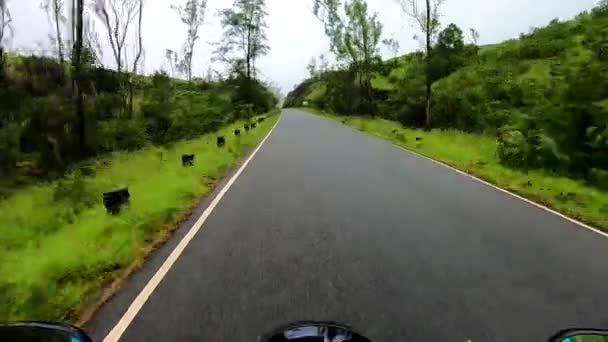 Tarmac Road Covered Dense Green Forest Isolated Image Showing Amazing — Stock Video