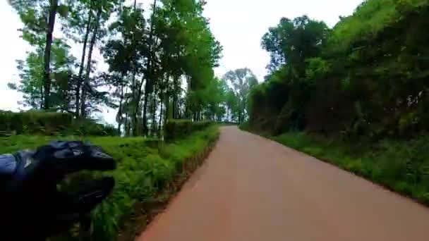 Route Goudronnée Couverte Une Dense Forêt Verte Image Isolée Montre — Video