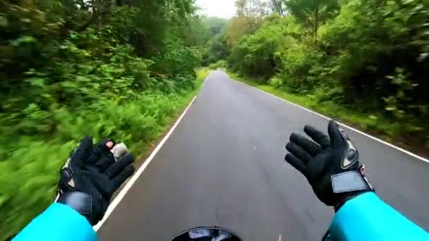 Route Goudronnée Couverte Une Dense Forêt Verte Image Isolée Montre — Video