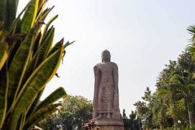 Dev Buda heykeli gün ışığında eşsiz bir açıyla çekildi.
