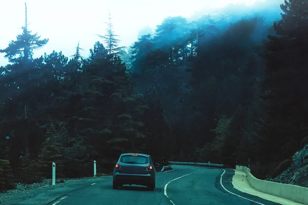 Weg Een Bergachtige Bosgebied Avond Mist Toppen Van Bomen — Stockfoto