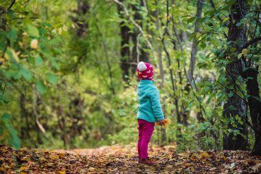 Arka görüş çocuk ormanda tek başına ayakta ileriye bakıyor