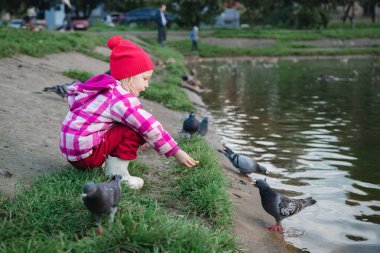 Küçük kız su kenarındaki sokakta güvercinleri besler.