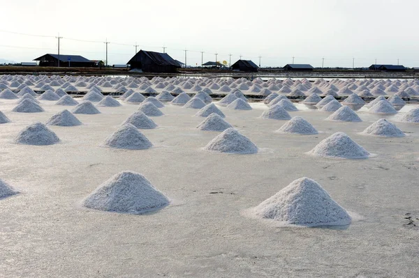 Farmers collect salt is a pile and to be stored in the barn