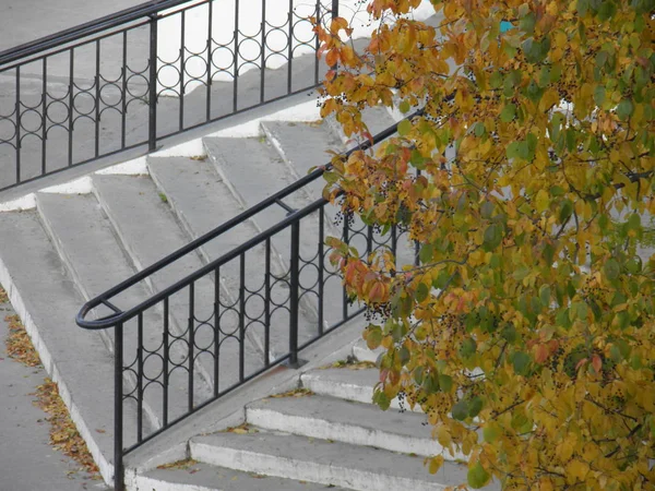 Bel Escalier Dans Rue Parmi Les Arbres Automne — Photo