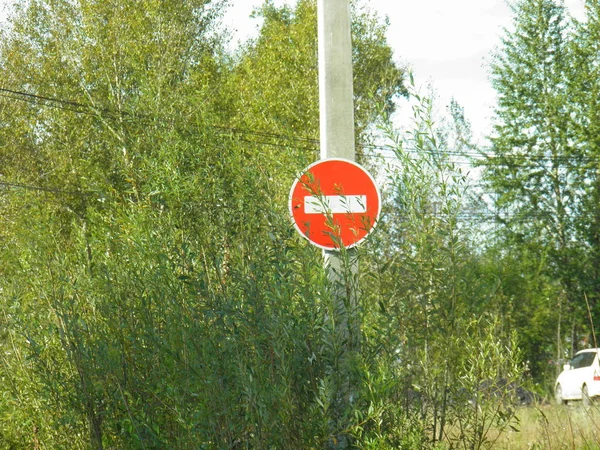 交通标志交通禁止隐藏在灌木丛中 — 图库照片