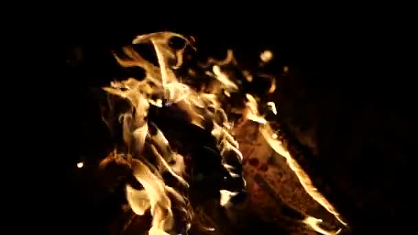 夜のキャンプ火災 スローモーション — ストック動画