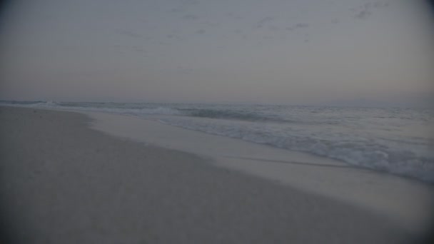 Bella Spiaggia Vuota Con Onde Log Non Classificato Filmato Stile — Video Stock
