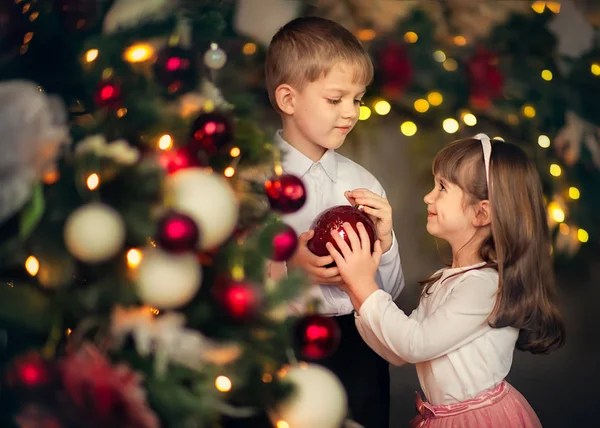 Çocuk Kız Kardeşi Kız Kardeşi Noel Yılbaşı Ağacı Ellerinde Bir — Stok fotoğraf