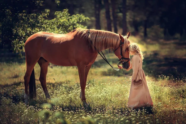 Girl Long Dress Brown Horse Standing Summer Park Daisies Bowing — Stock Photo, Image