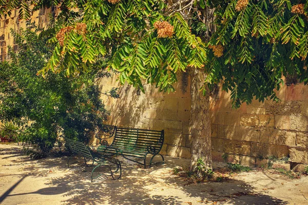 Güneşli bir günde, sessiz bir parkta, eski bir taş duvarın yanında, ağacın gölgesinin altında iki boş yeşil metal bank..