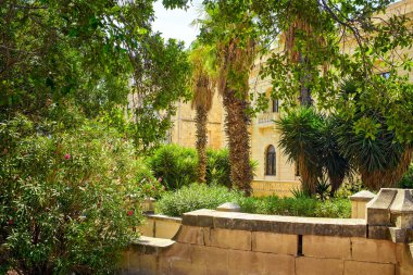 Yaşayan Akdeniz bahçesi, palmiye ağaçları, egzotik bitkiler ve tarihi bir binanın yakınında yemyeşil bir cadde..