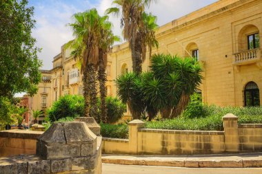 Palmiye ağaçları, egzotik bitkiler ve yemyeşil çiçeklerle dolu canlı bir Akdeniz caddesi tarihi mimarinin arka planına karşı..