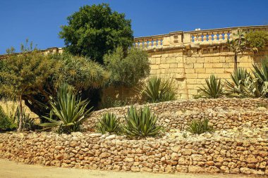 Tarihi taş duvarlara karşı yeşil sulu ve tropikal bitkilerle güneşli Akdeniz terası ve açık mavi gökyüzü.