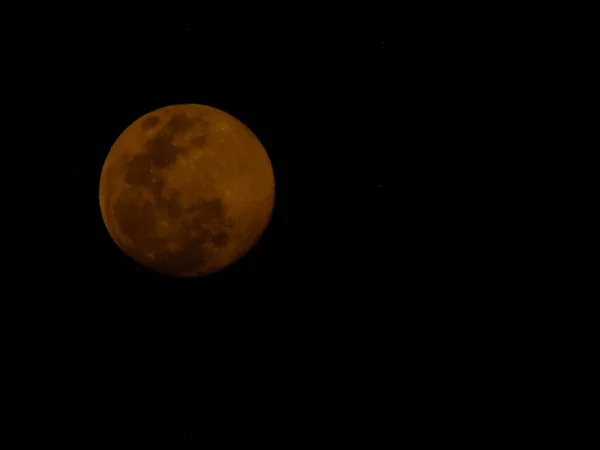 Ree Volle Maan Achtergrond — Stockfoto