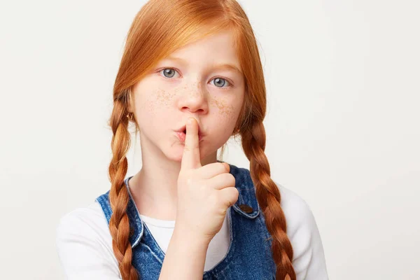 Ruhige Schöne Mädchen Mit Geflochtenen Roten Haaren Zwei Langen Zöpfen — Stockfoto