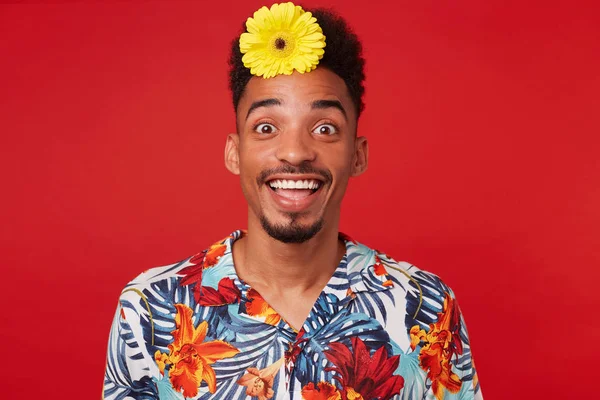 Genç mutlu hayran Afro-Amerikan adam, Hawaii gömlek giyer