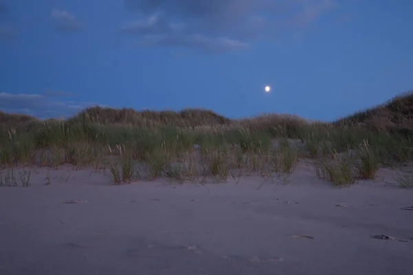 Nacht Een Zandstrand Met Vegetatie — Stockfoto