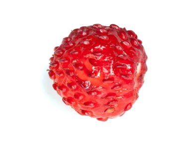 Olgun yabani çilek, Fragaria vesca üzümü beyaz arka planda izole.