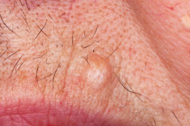 Kurt beyaz arka plan üzerinde makro fotoğraf izole örümcek