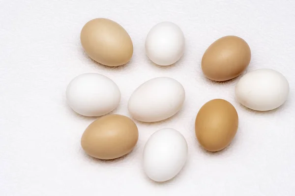 Whole white and brown eggs spread on a white surface — Stock Photo, Image